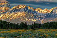 Yellowstone And Grand Tetons National Parks